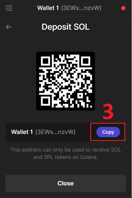 Step 3, input the correct wallet with its address